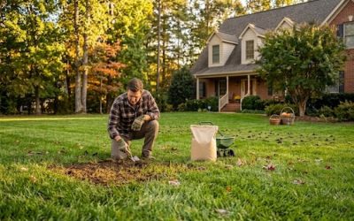 Repairing Summer Lawn Damage Before Winter